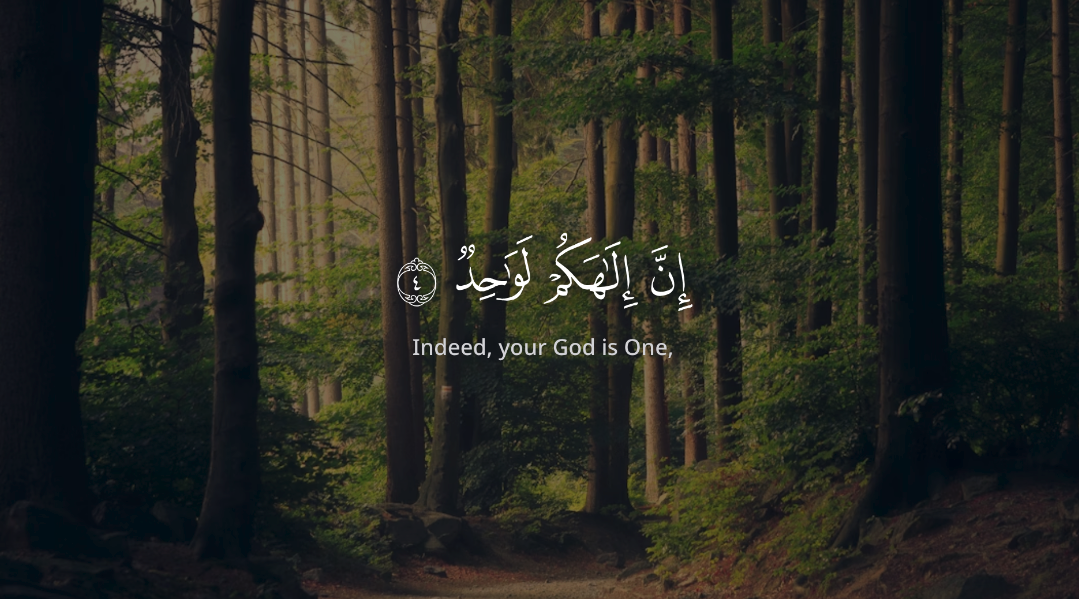 واجهة التطبيق